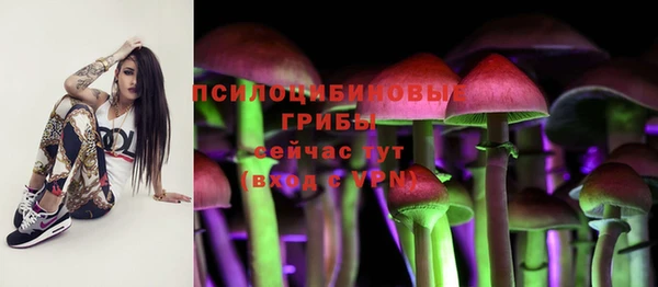 тгк Армянск