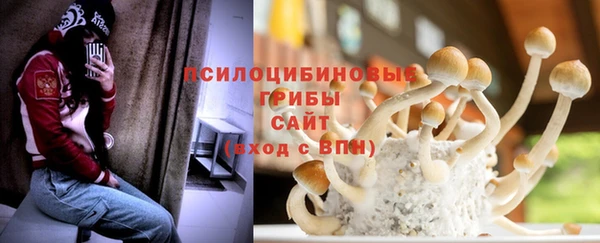 каннабис Арсеньев