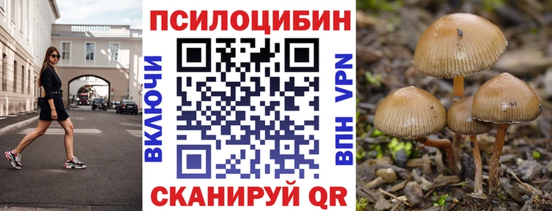 купить наркоту Рыбное ссылка на мегу ссылка Псилоцибиновые грибы мицелий